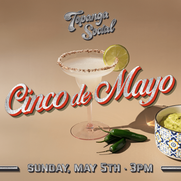 CINCO DE MAYO FIESTA