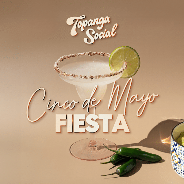 CINCO DE MAYO FIESTA