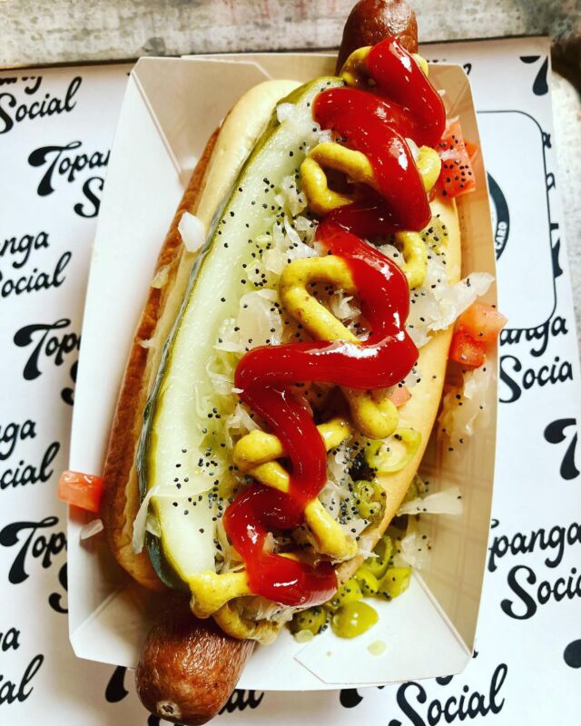 Nothing like a 🌭 on a 115 degree day. tailothepup #whatsupdog #hotdogsofig #tailothepup #topangasocial #hotinhere #foodviamia #lafoodie #yummia